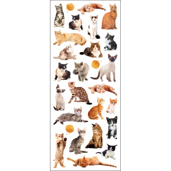 STICKERS KATTER TINKA